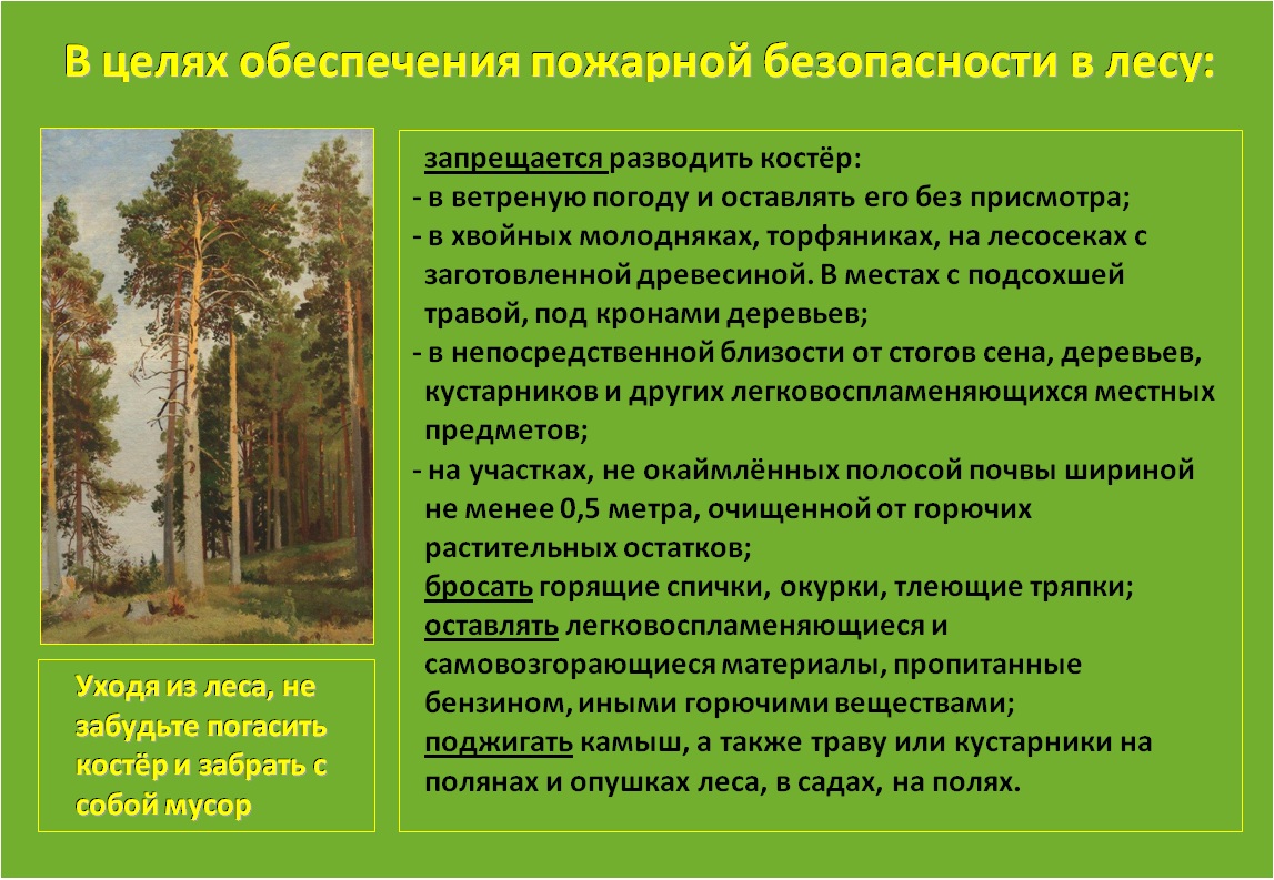 08-обеспечение пожарной безопасности в лесу