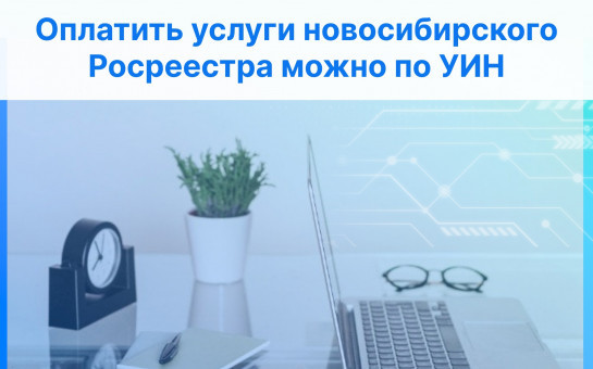 Оплатить услуги новосибирского Росреестра можно по УИН