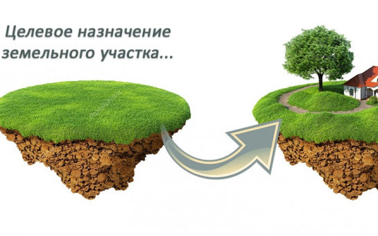    В каких целях можно использовать садовый земельный участок