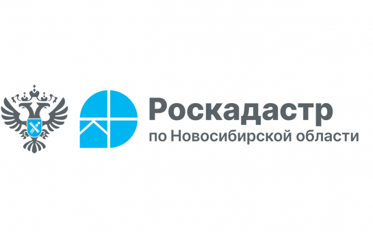 Как жителям Сузунского района можно получить сведения о недвижимости?